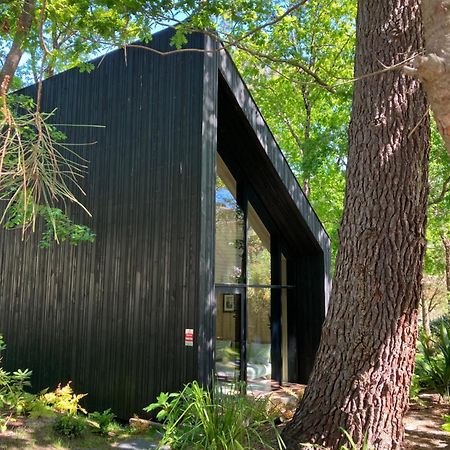 Nouveau - Ecolodge 'Calme Et Nature' - Avec Piscine Au Golf-Lac De Biscarrosse - Couchage 2 Personnes エクステリア 写真