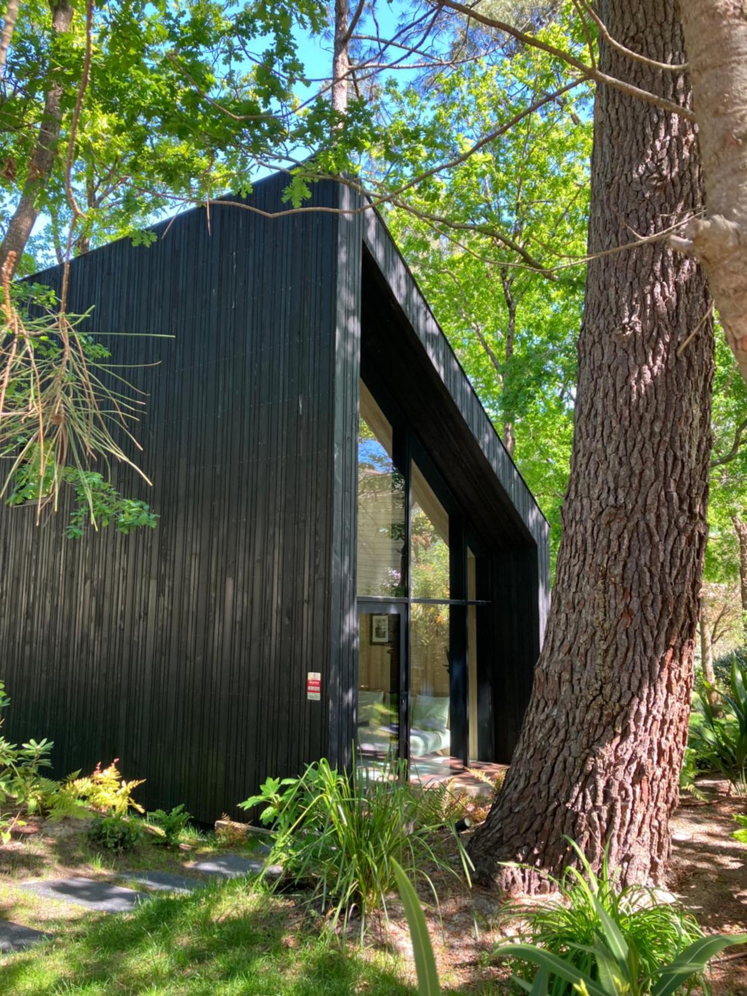 Nouveau - Ecolodge 'Calme Et Nature' - Avec Piscine Au Golf-Lac De Biscarrosse - Couchage 2 Personnes エクステリア 写真